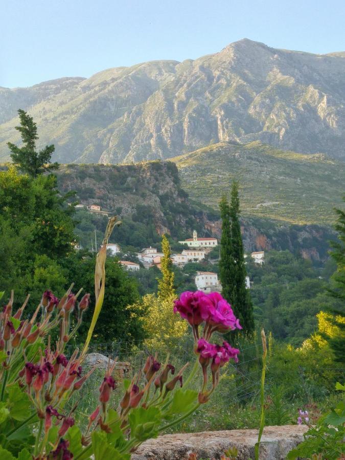 Penelope 2 Otel Dhërmi Dış mekan fotoğraf