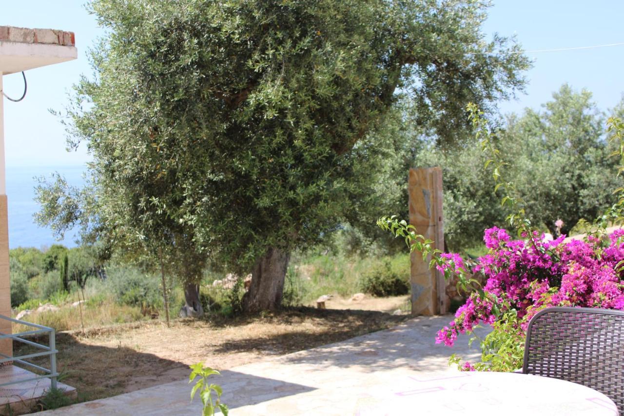 Penelope 2 Otel Dhërmi Dış mekan fotoğraf